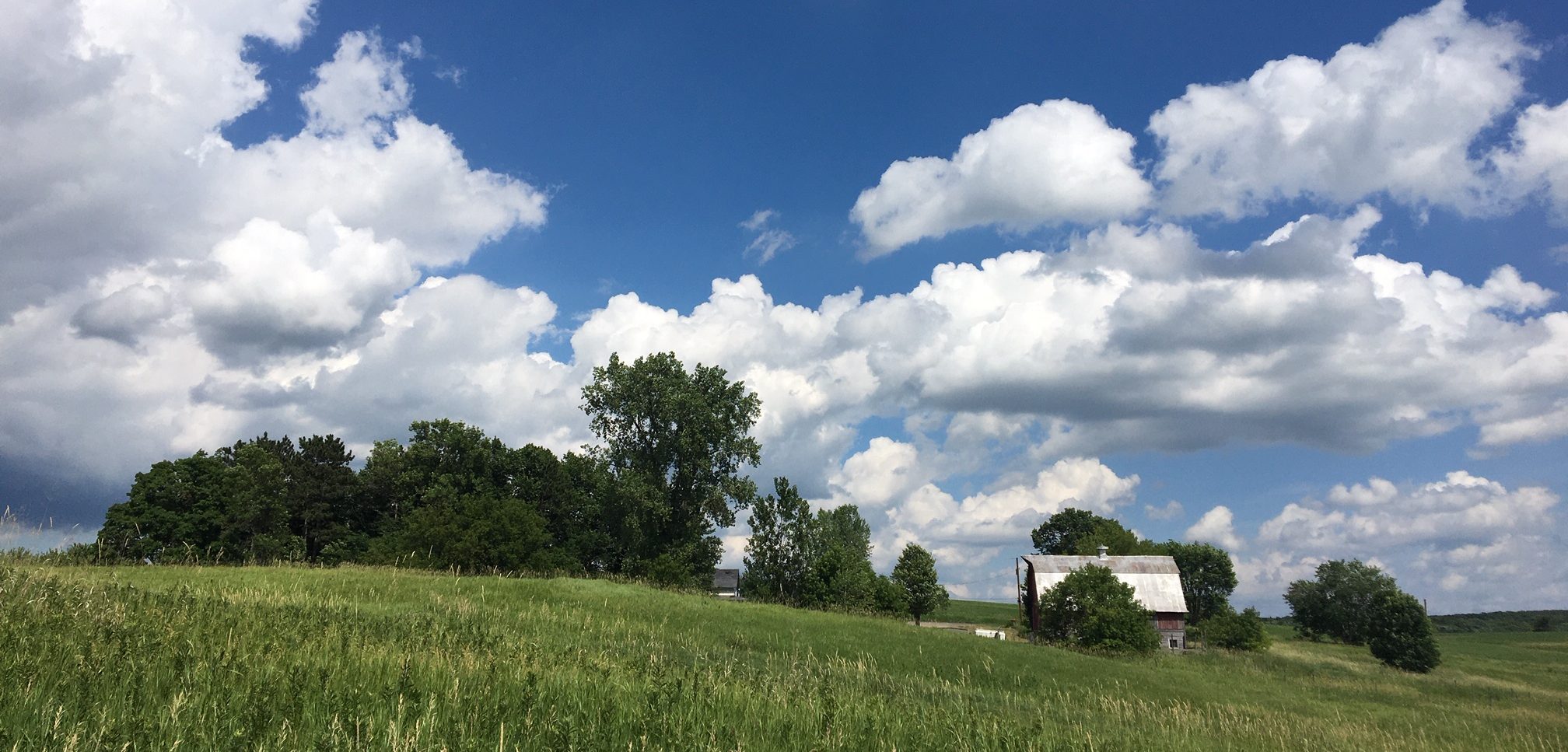 Barn in Field